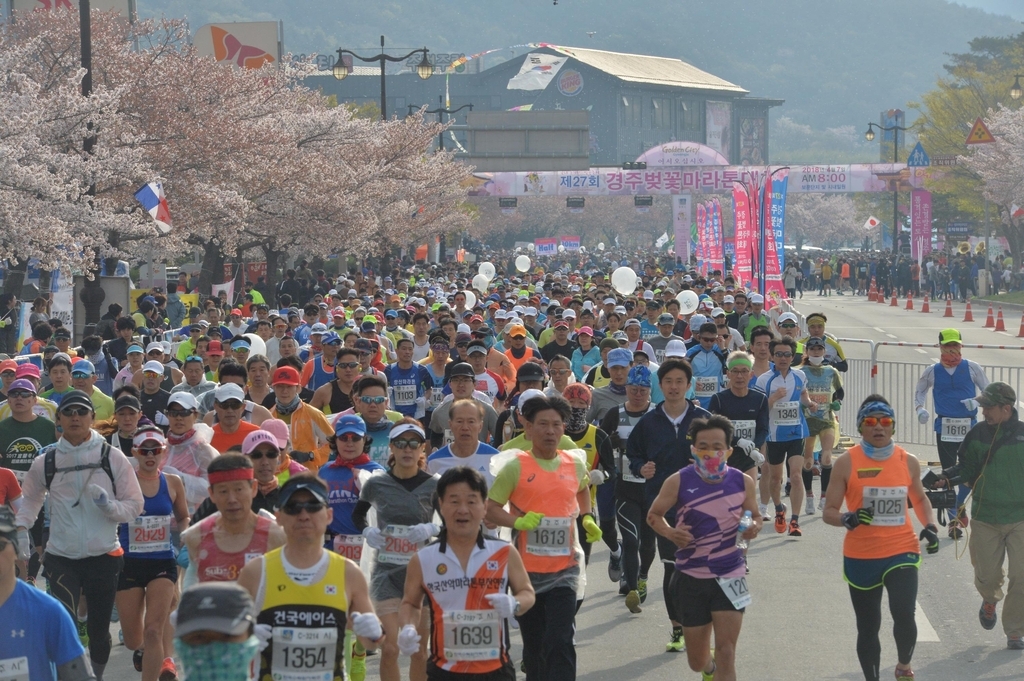 경주 벚꽃축제 벚꽃명소 벚꽃마라톤 대회