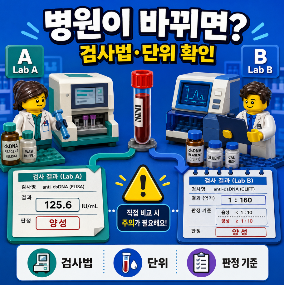 anti-dsDNA 검사 결과의 양성&middot;경계&middot;음성 판정 차이와 검사실 판정 기준을 설명하는 의료 인포그래픽