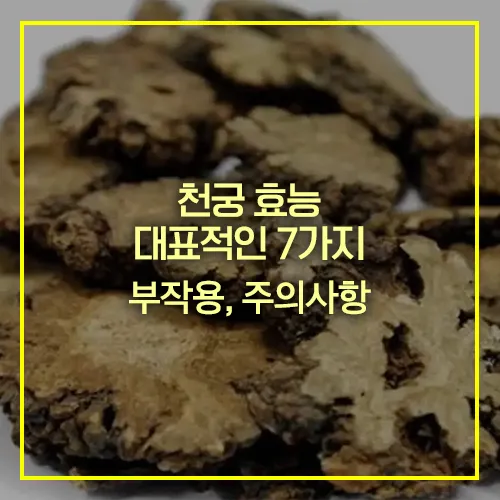 천궁 효능 7가지 부작용 주의사항