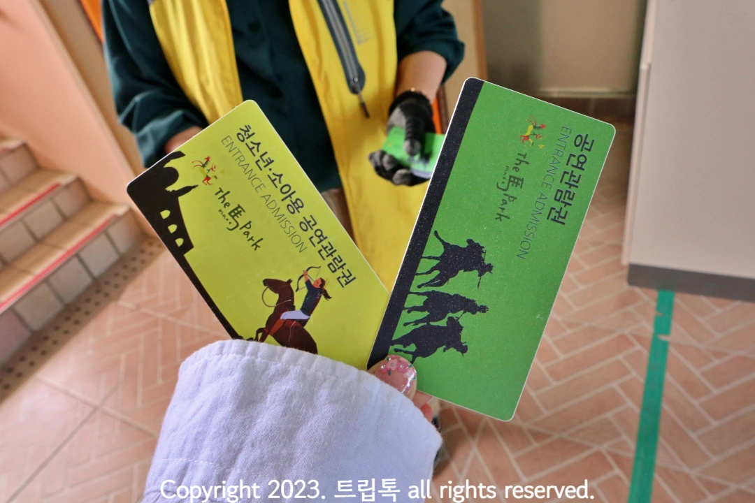 노란색, 연두색 공연 관람권