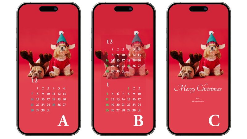 04 산타옷 입은 강아지 ABC - 2025년12월 아이폰배경화면