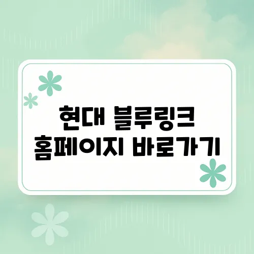 현대 블루링크 홈페이지 바로가기