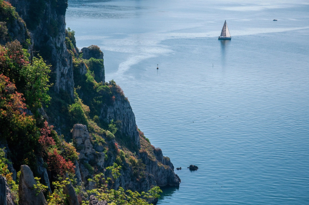 제로웨이스트 미디어와 디지털 환경의 지속 가능성