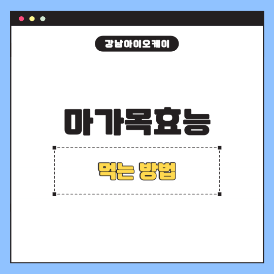 마가목효능