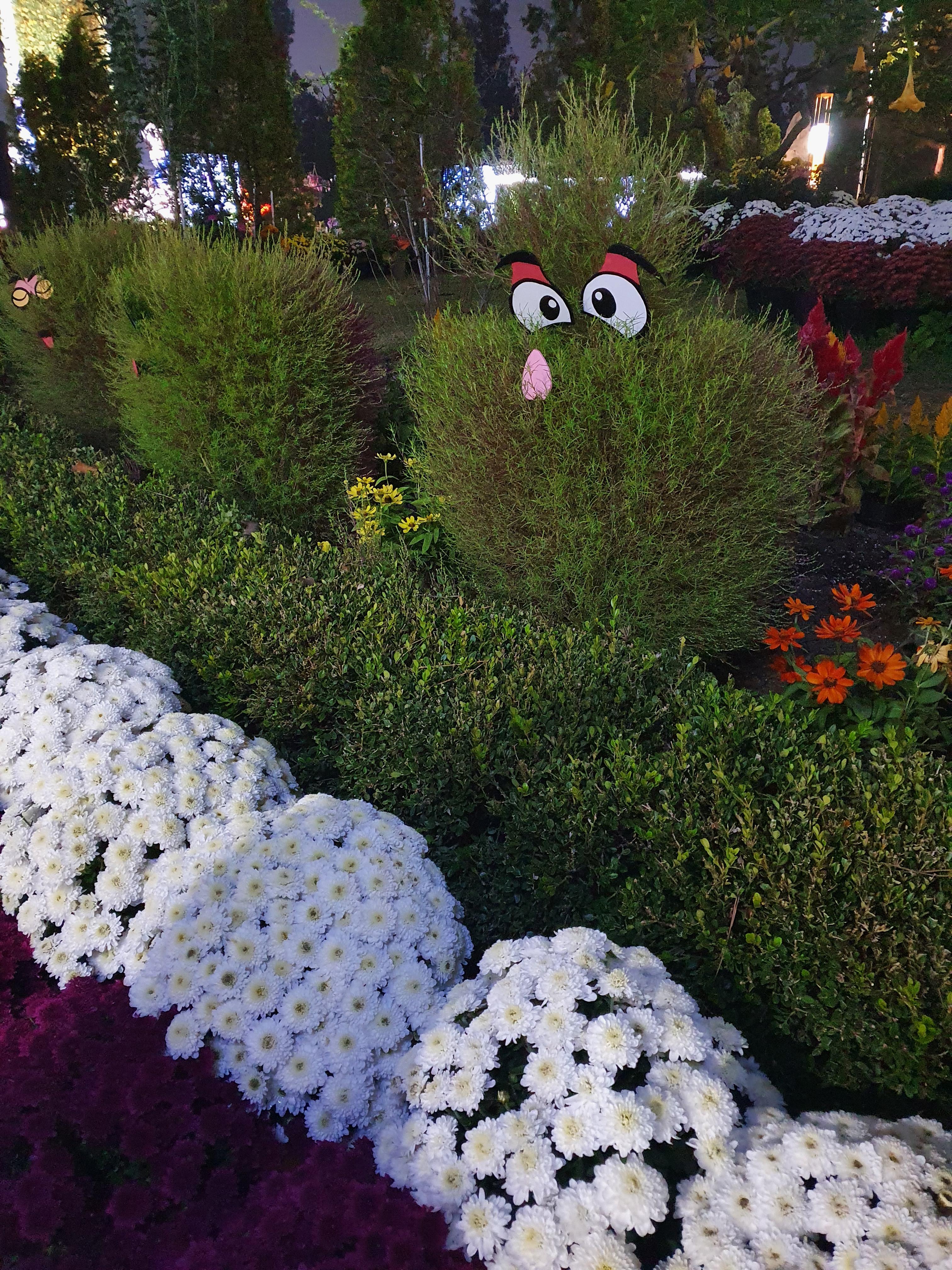 유림공원 국화축제 풀을 이렇게 인형처럼 꾸며놓음.