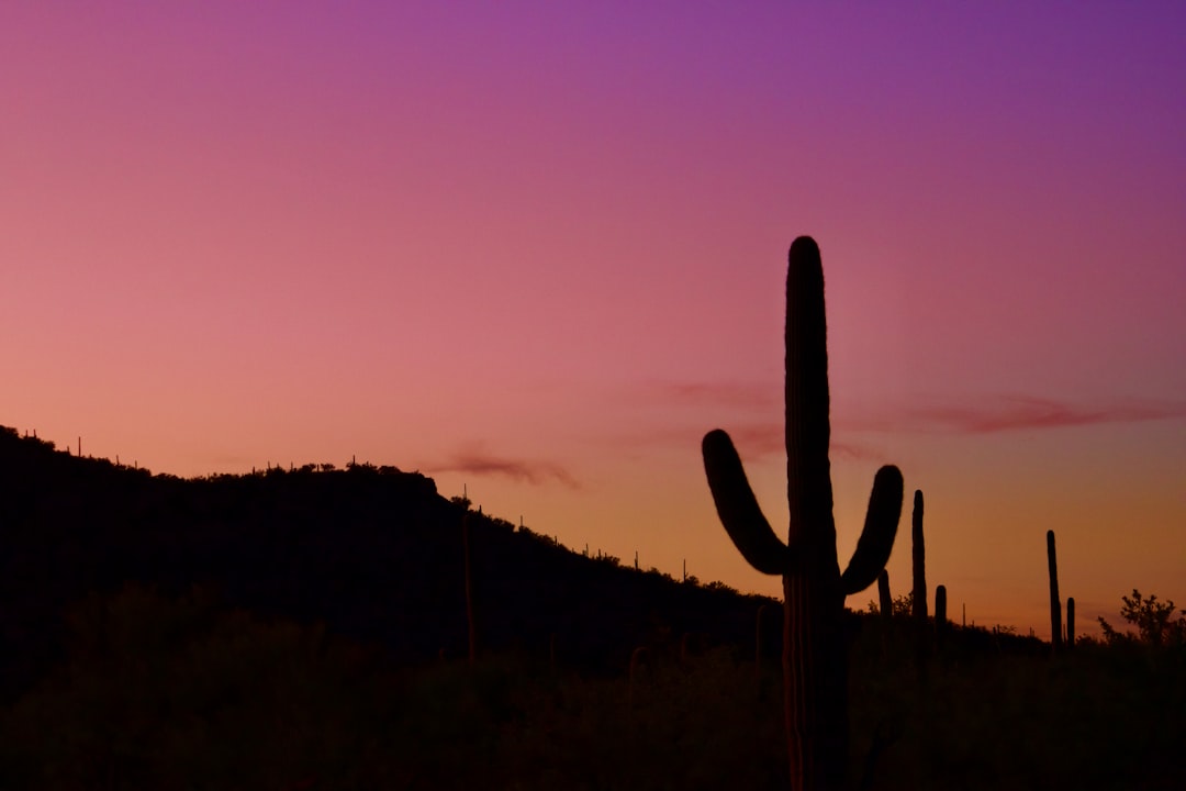 Tucson