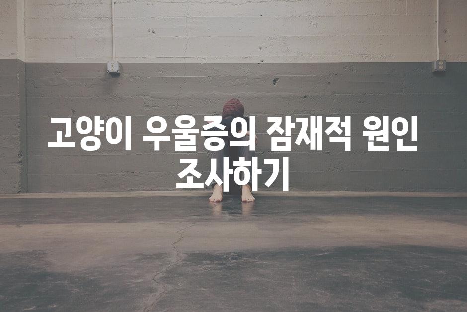 고양이 우울증의 잠재적 원인 조사하기