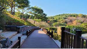  안면도 가볼 만한 곳 BEST 10