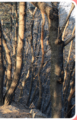 대구 앞산 케이블카 주차장