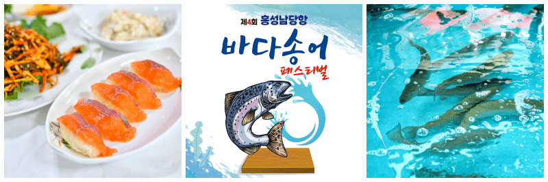 홍성남당항 바다송어 페스티벌 포토&#44; 포스터