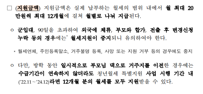 청년 월세 지원
