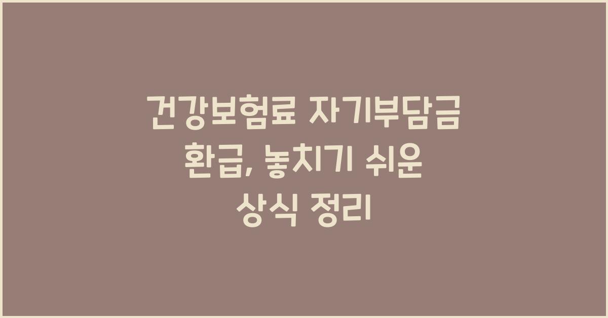 건강보험료 자기부담금 환급
