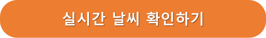 실시간 날씨 회의