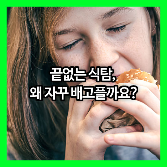 끝없는 식탐, 왜 자꾸 배고플까요? 멈추지 않는 식탐의 원인과 해결 방법