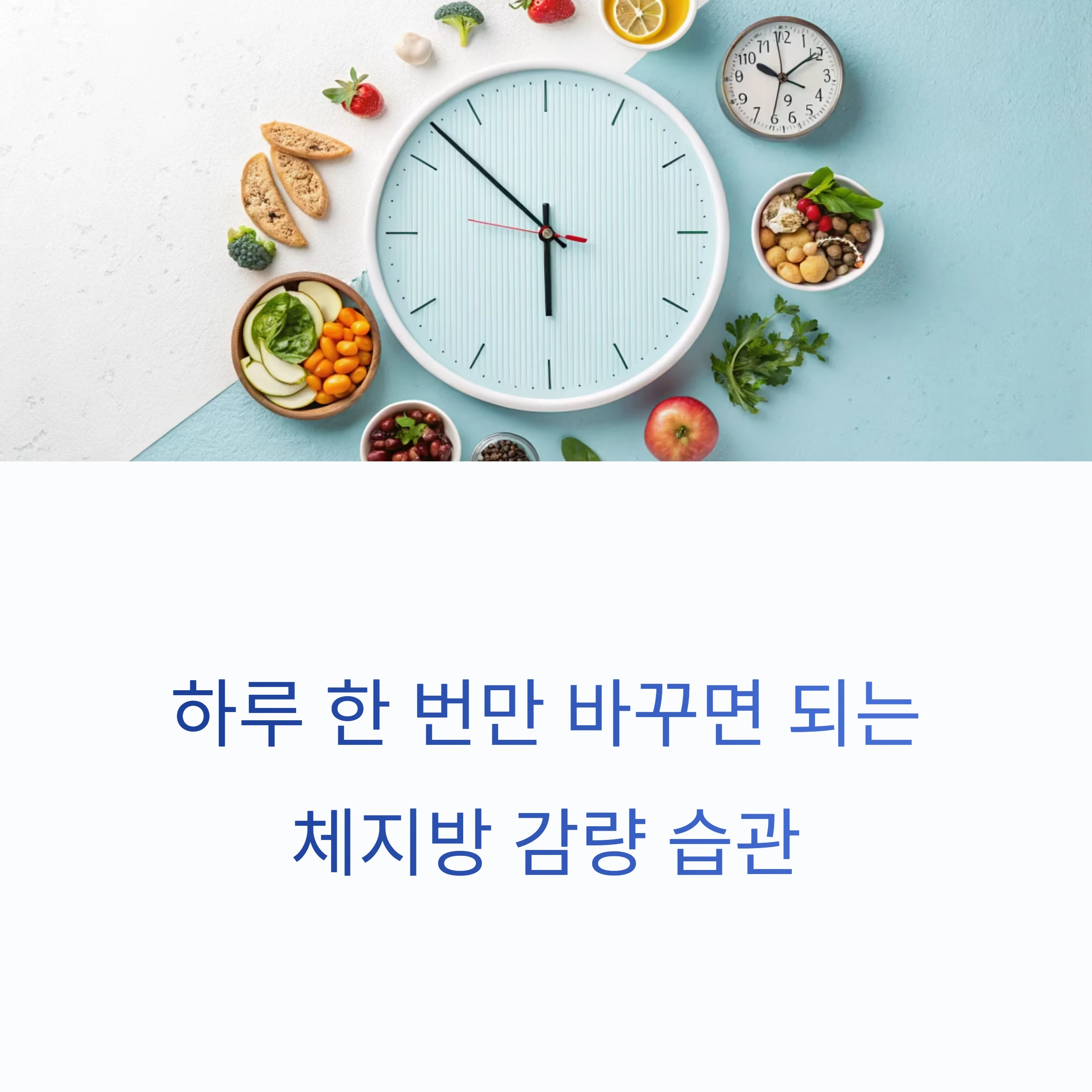 체지방감량습관