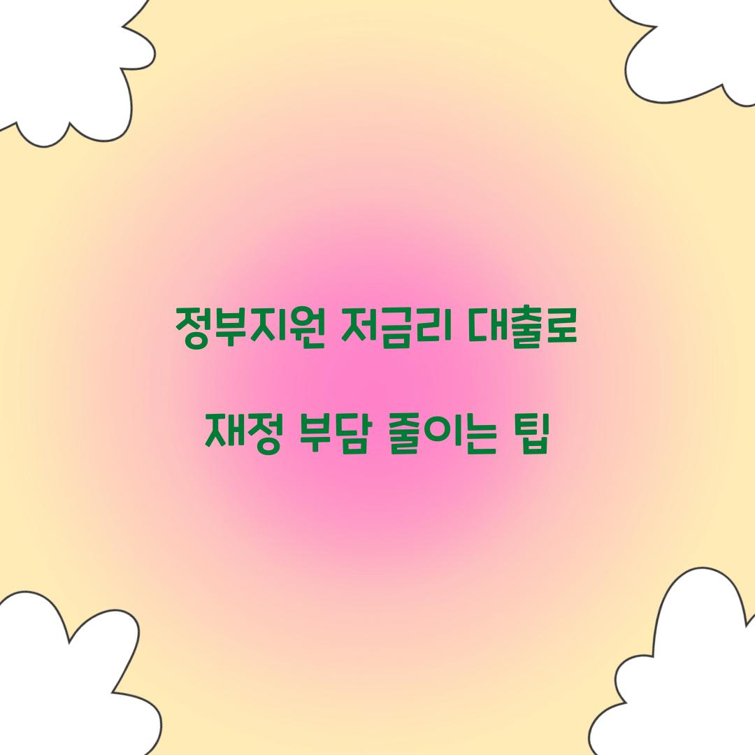 정부지원 저금리 대출