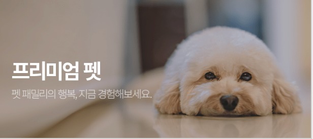 쿠팡-쇼핑몰-사이트-쿠팡프레시-쿠팡이츠