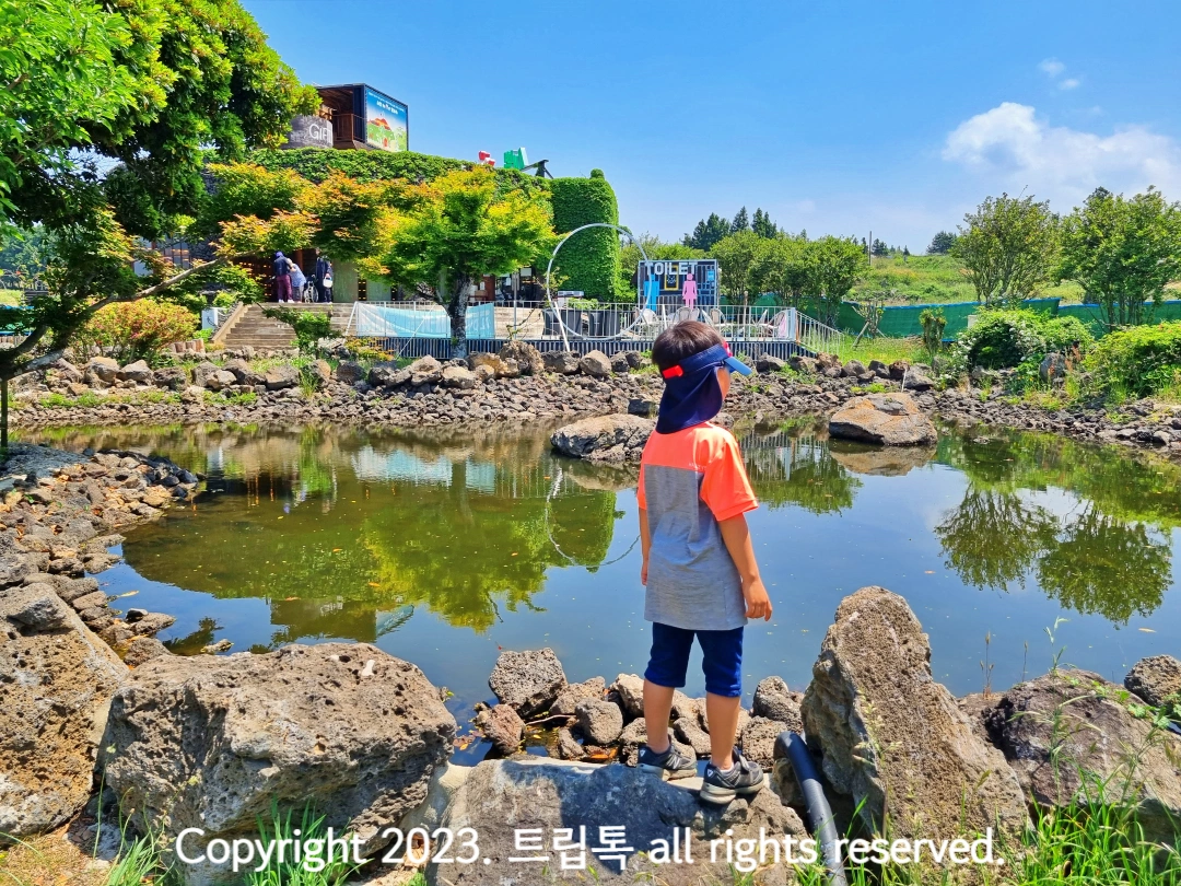 연못을 보는 아이의 뒷모습