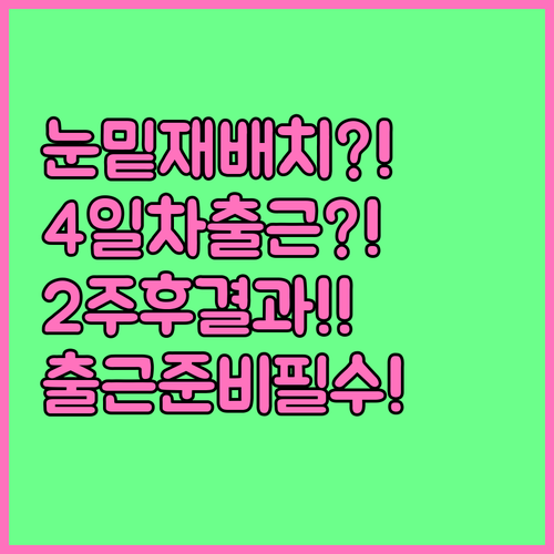 눈밑지방 재배치 출근 계획 수술 후 ..