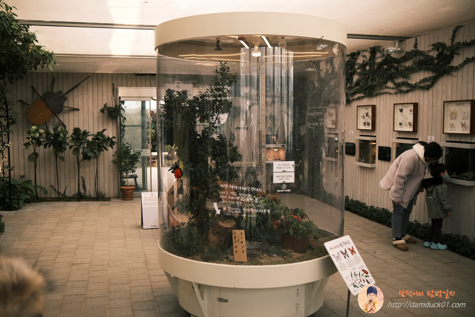 용인곤충테마파크 실내전시장