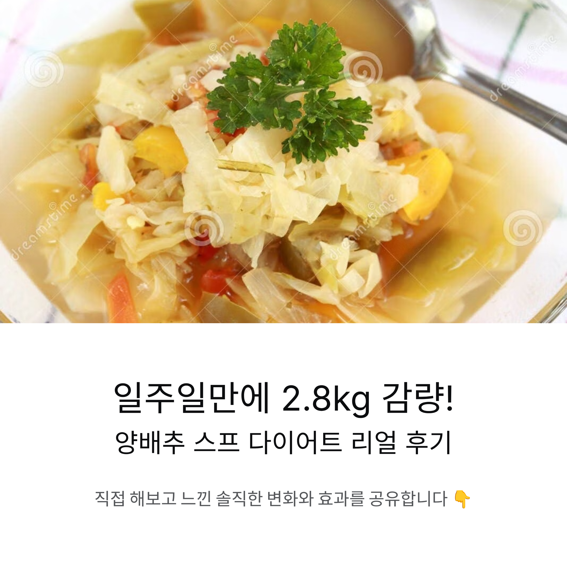 양배추 스프 다이어트 실제 후기와 효과