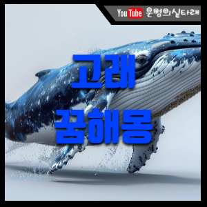 썸네일 사진