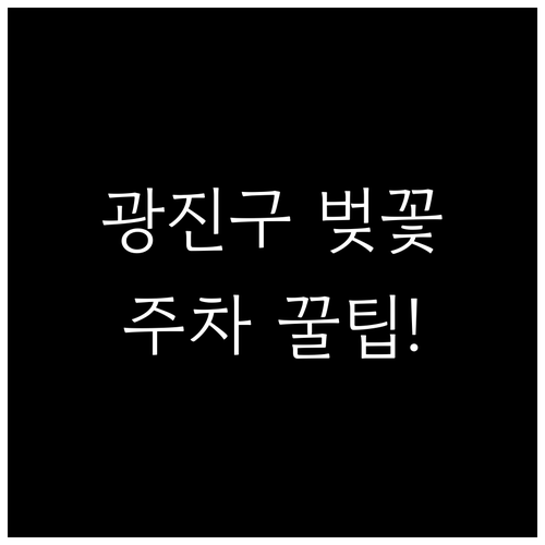 서울 광진구 벚꽃 명소 주차 정보 및..