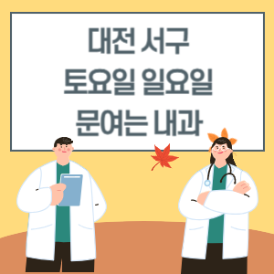 대전 서구 토요일 일요일 내과 진료 병원 리스트
