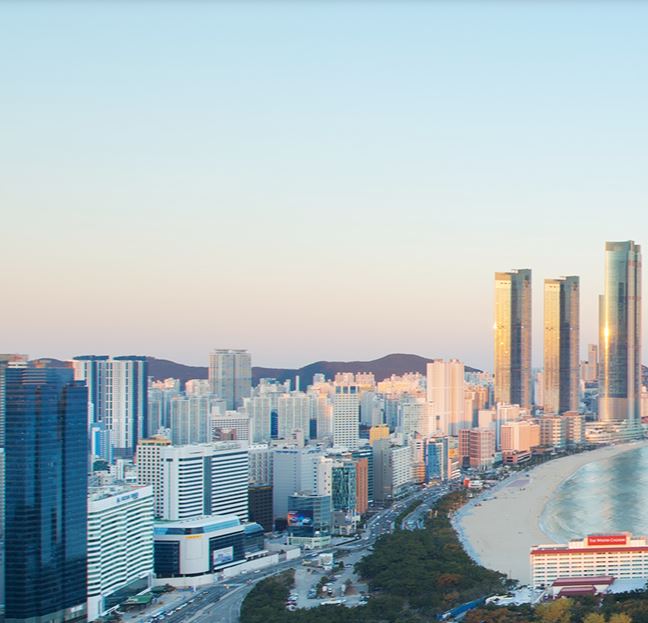 부산 시티투어버스 노선