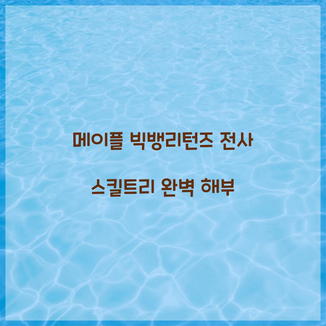 메이플 빅뱅리턴즈 전사 스킬트리