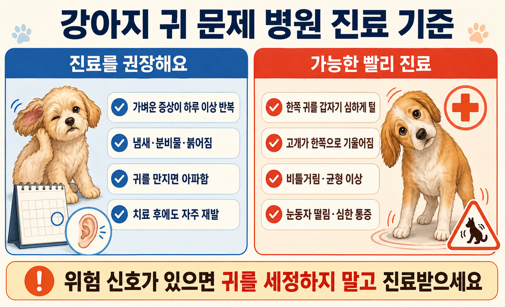 강아지 귀 냄새 분비물 통증 출혈 고개 기울어짐 등 병원 진료가 필요한 증상 체크리스트