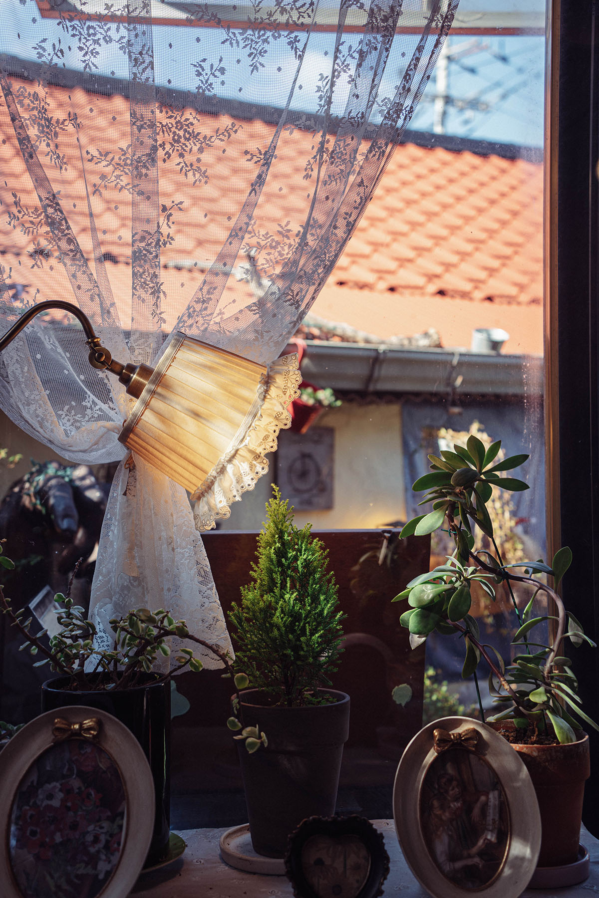 가덕도 1966정원 대항점