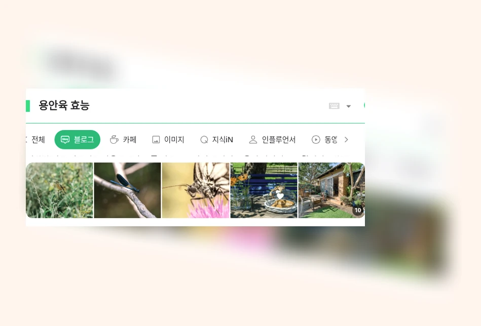 용안육 효능_1_subsection