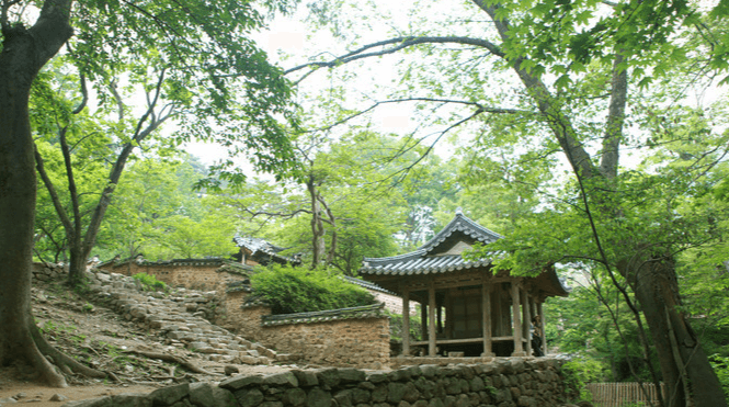 담양 가볼만한곳 베스트10