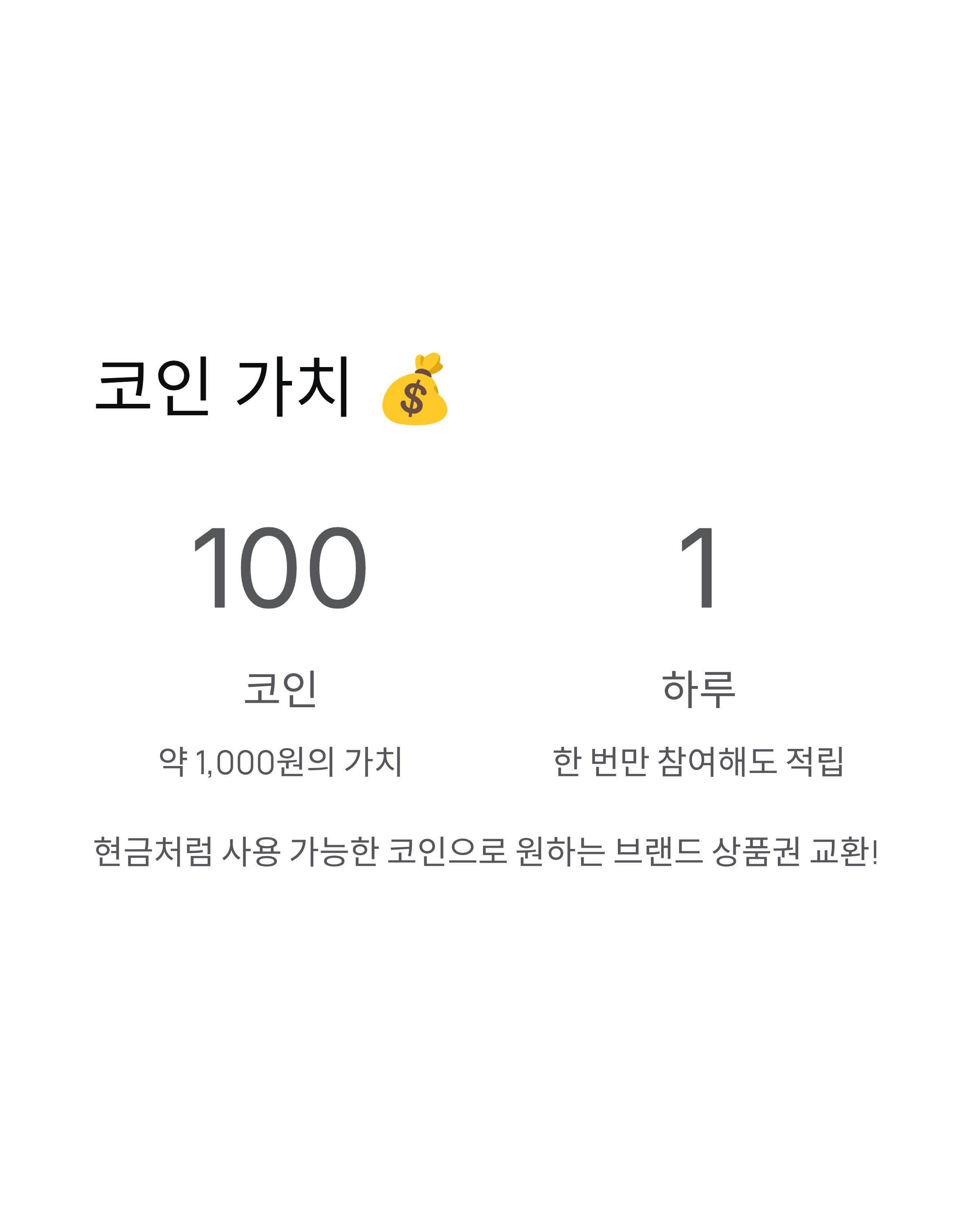 11월 13일 비트버니 퀴즈정답 OX퀴즈 총정리!