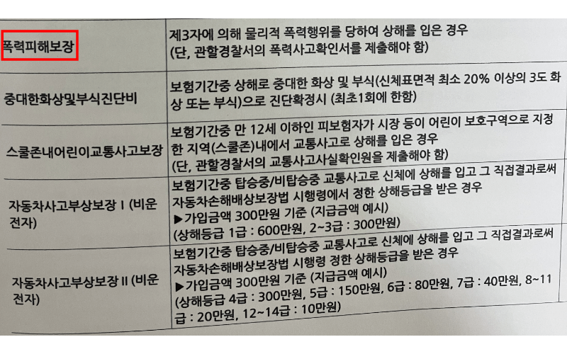 폭력피해보장