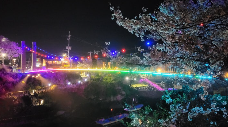 벚꽃 개화시기 2025
