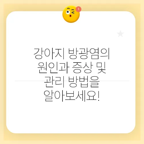 강아지 방광염의 원인과 증상 및 관리 방법을 알아보세요!