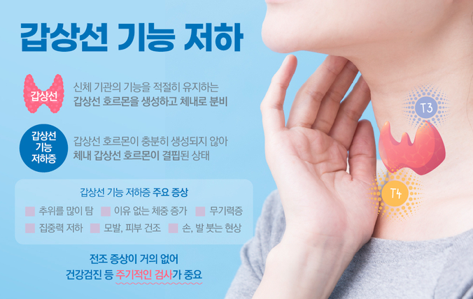 갑상선 기능 저하증 진단과 치료