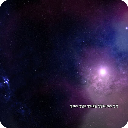 생일 별자리로 알아보는 쌍둥이자리 성격