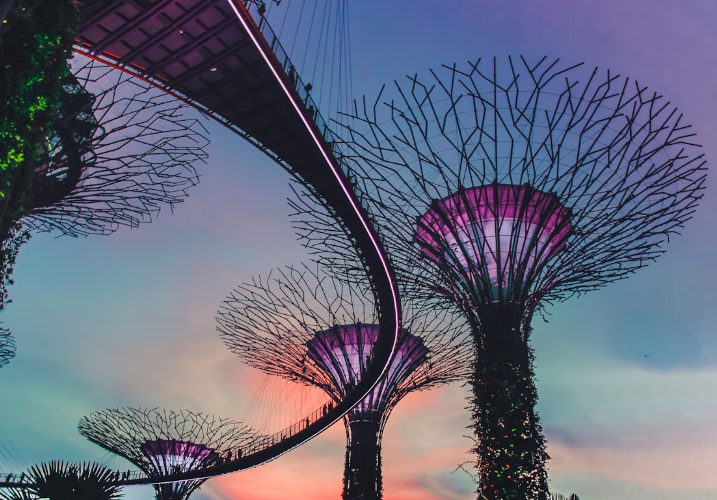 싱가포르 : 마리나 베이 샌즈, 가든스 바이 더 베이, 싱가포르 동물원