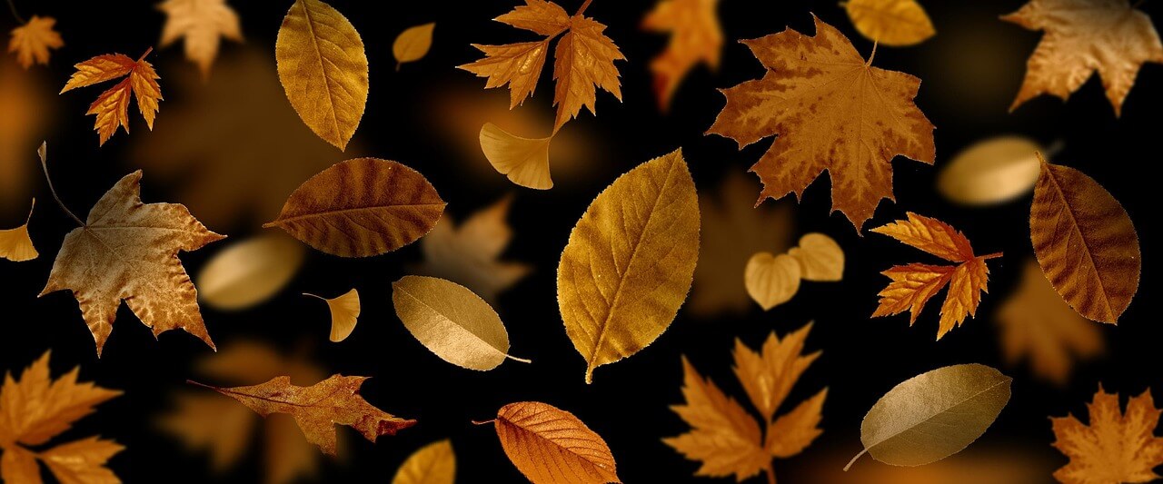 추석 명절지원금 신청 지역 금액 총정리