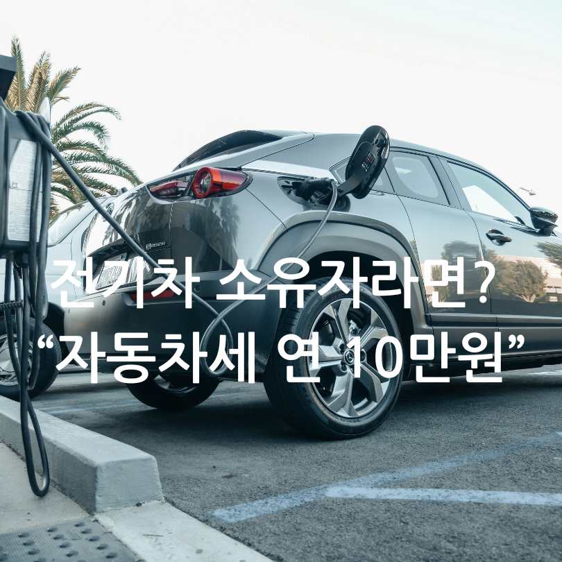 2025 상반기 자동차세 납부 방법