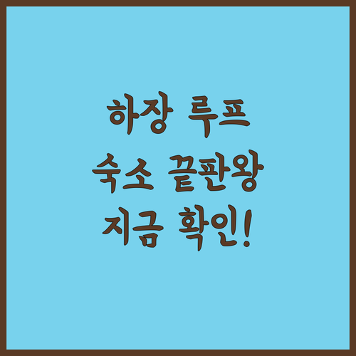 하장 루프 여행 숙소 베스트 4곳 추..