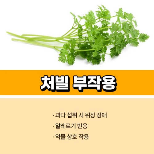처빌 부작용