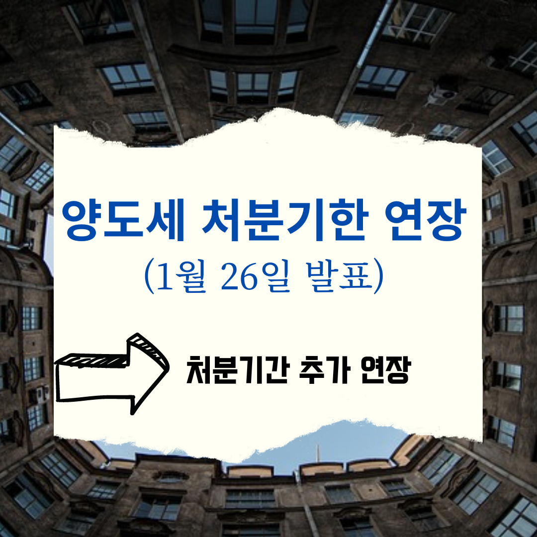 양도세처분기한 연장