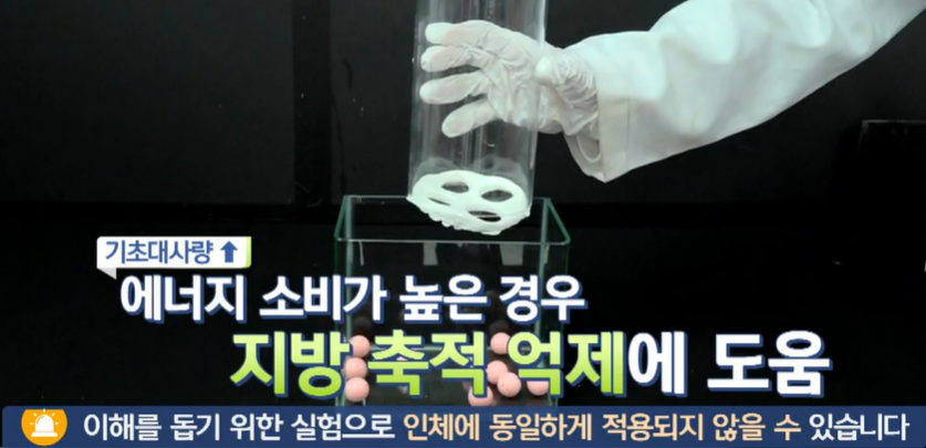 모로실 효능