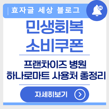 민생회복소비쿠폰사용처