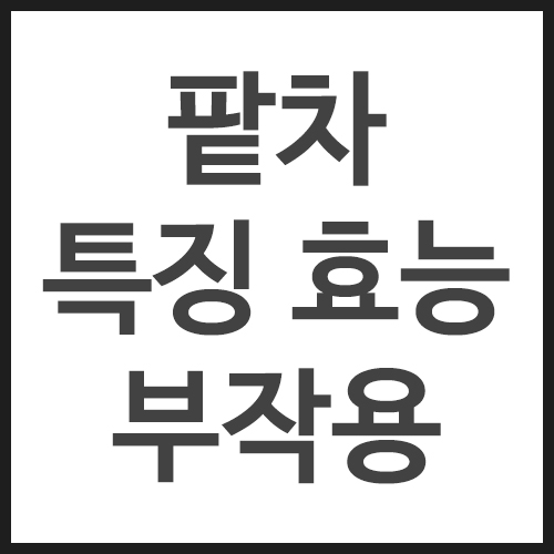 팥차-특징,-효능,-부작용