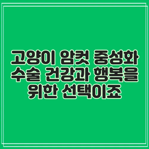 고양이 암컷 중성화 수술 건강과 행복을 위한 선택이죠